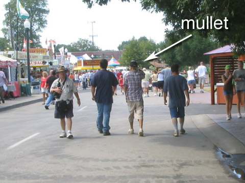 Mullet