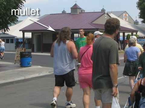 Mullet