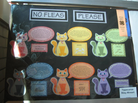 4-H poster