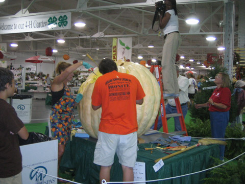 giant pumpkin carving