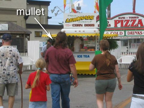 mullet