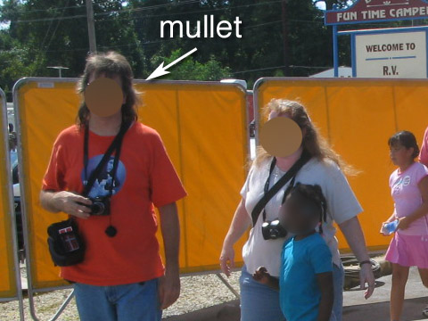 mullet