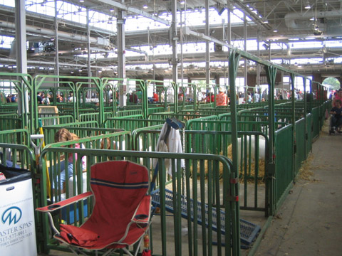 animal barn