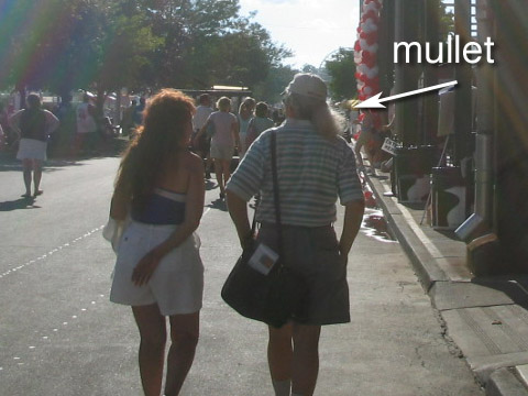 mullet