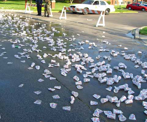Mini 28 - Lotta Cups.jpg