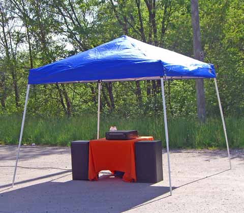 Mini 64 - Lonely But Protected from the elements.jpg