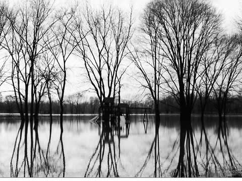 Flood010.jpg